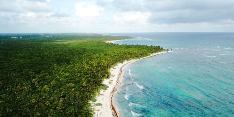 Promueven ampliar la reserva de la tortuga marina Xcacel-Xcacelito