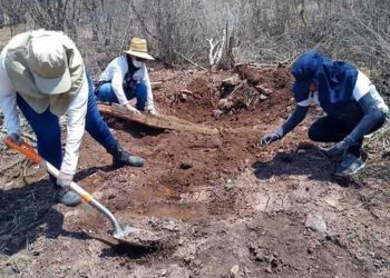 Piden a capos permitir buscar a desaparecidos