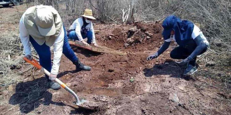 Piden a capos permitir buscar a desaparecidos