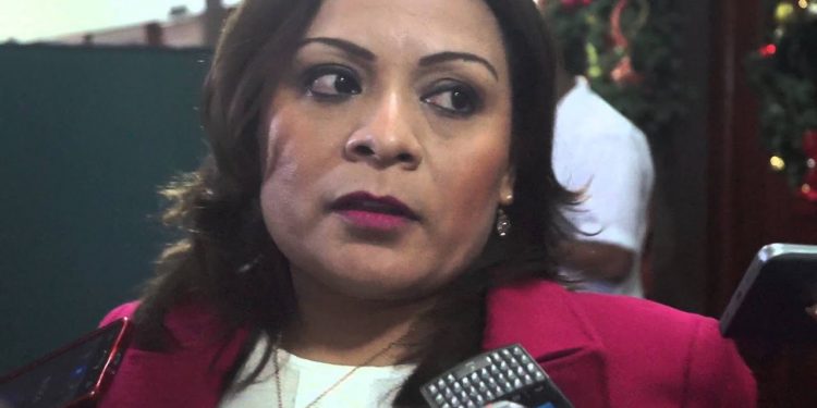 La «Ley a Modo» para beneficiar a Judith Rodríguez, candidata de «La Mafia Verde» y de Carlos Joaquín a la CEDH