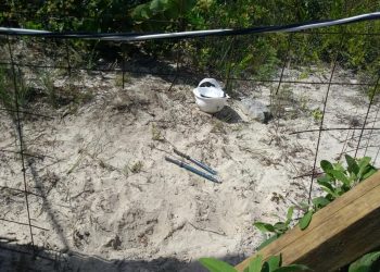 Denuncian presunto autorobo en obra del Hotel RIU de Isla Blanca