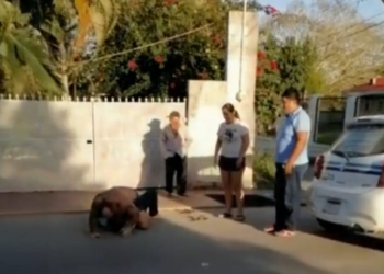 Taxista amenaza y agrede a turista en Bacalar