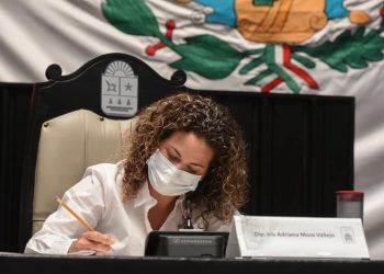 No es Ley Mordaza ni contra periodistas: Iris Mora