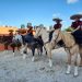 Quintana Roo por primera vez competirá en Charrería en los Nacionales Conade