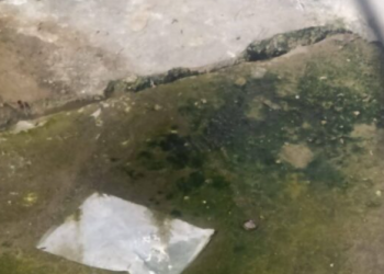 Cozumel sufre colapso en su sistema de drenaje