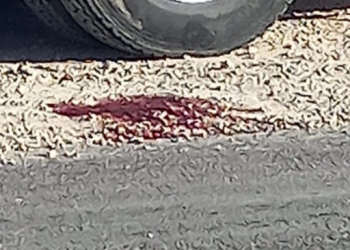 Hallan cuerpo de un hombre en comunidad de Lázaro Cárdenas