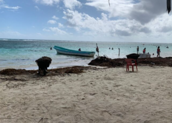 Autoridades de Mahahual piden adelantar la instalación de la barrera anti-sargazo