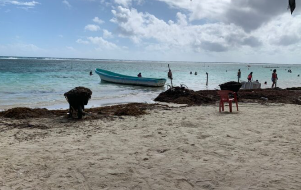 Autoridades de Mahahual piden adelantar la instalación de la barrera anti-sargazo