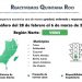 Se mantiene semáforo verde en Quintana Roo