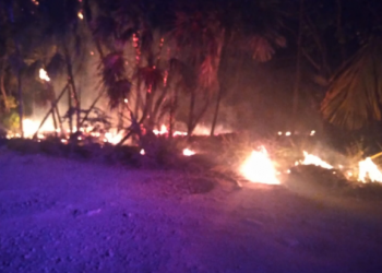 Reportan incendio en la reserva Sian Ka’an