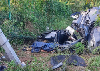 Muere automovilista tras chocar en la carretera Tulum-Playa del Carmen