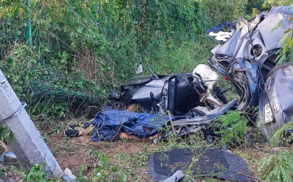 Muere automovilista tras chocar en la carretera Tulum-Playa del Carmen