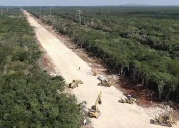 Pagó Fonatur 3.8 mdp por ecocidio de Tren Maya