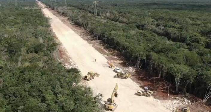 Pagó Fonatur 3.8 mdp por ecocidio de Tren Maya