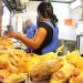 Nuevo golpe a los bolsillos de Quintana Roo ante alza de los precios de pollo