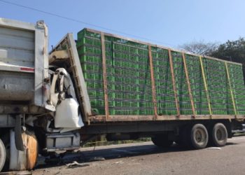 Conductor de tráiler muere prensado tras impactarse contra un góndola
