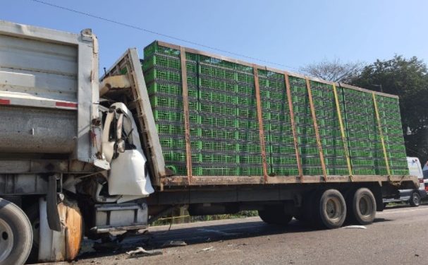 Conductor de tráiler muere prensado tras impactarse contra un góndola