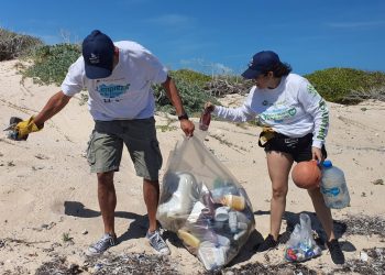 Se realiza la 37a jornada de limpieza de playas organizada por Delphinus