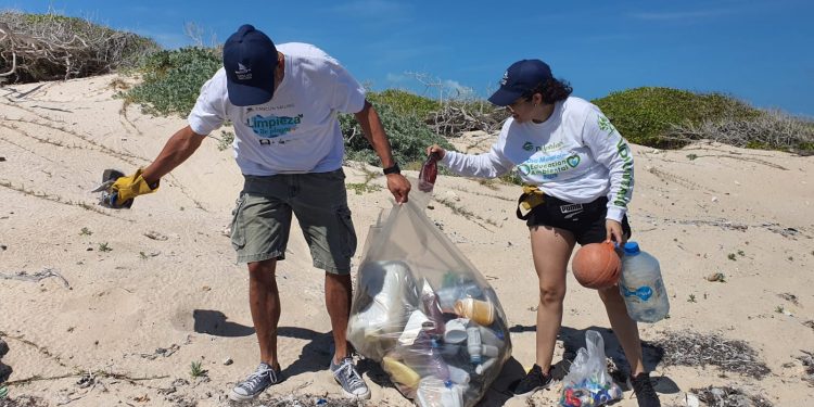 Se realiza la 37a jornada de limpieza de playas organizada por Delphinus