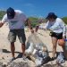 Se realiza la 37a jornada de limpieza de playas organizada por Delphinus