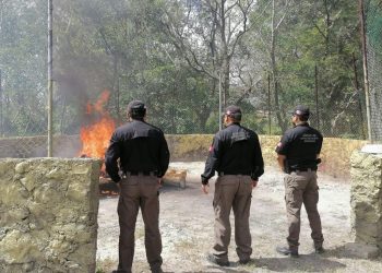 FGR incinera narcóticos y destruye objetos del delito en Quintana Roo