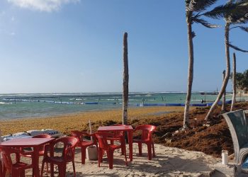 Siguen sin funcionar la estrategia de la Marina contra sargazo