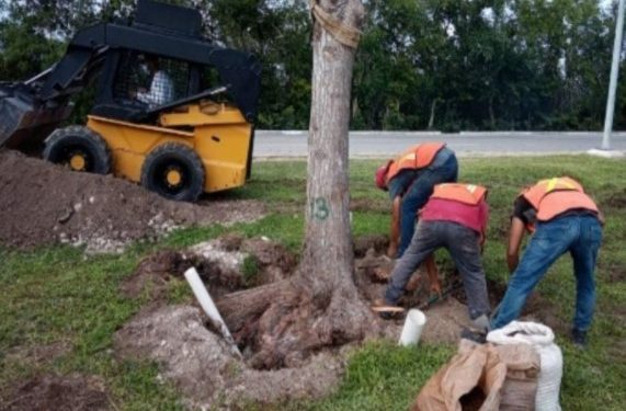 FONATUR es acusada de presunto fraude por más de 700 mil pesos por la empresa local JIC