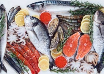 Cuaresma época de comer pescados y mariscos sostenibles y mexicanos