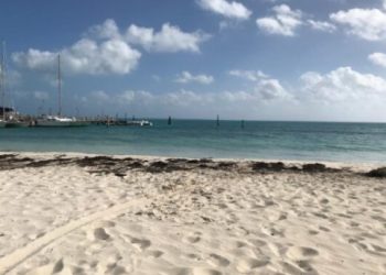 Recale de sargazo se deja ver solo en algunas playas de Cancún