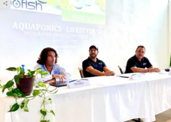 Presentan proyecto sustentable Acuaponia