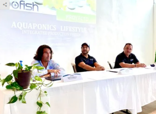 Presentan proyecto sustentable Acuaponia