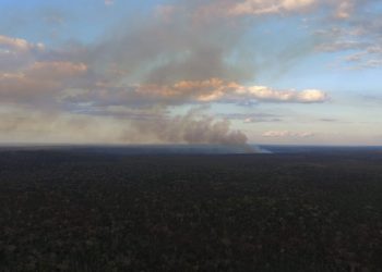 Primer incendio de la temporada