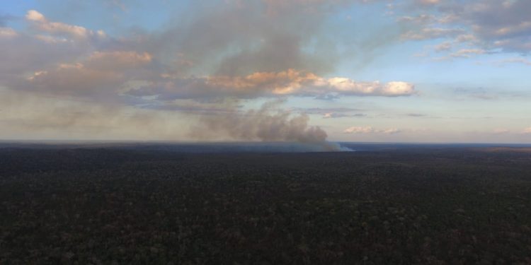 Primer incendio de la temporada