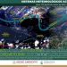 Comienzan las temperaturas altas en Quintana Roo