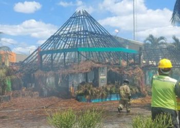 Incendio consume casi por completo las dos palapas del restaurante “Navito” en Playa del Carmen