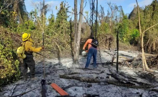 CONAFOR advierte que este año la temporada de incendios forestales estará muy activa