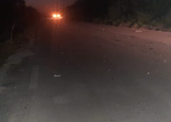 Bovino provoca accidente automovilístico en Kantunilkín