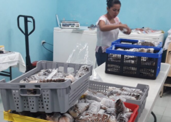 Pescadores de Cozumel detienen labores en cuaresma