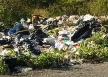 Ejidatarios exigen atender basurero clandestino en Valladolid Nuevo