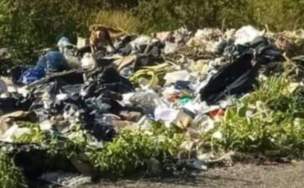 Ejidatarios exigen atender basurero clandestino en Valladolid Nuevo