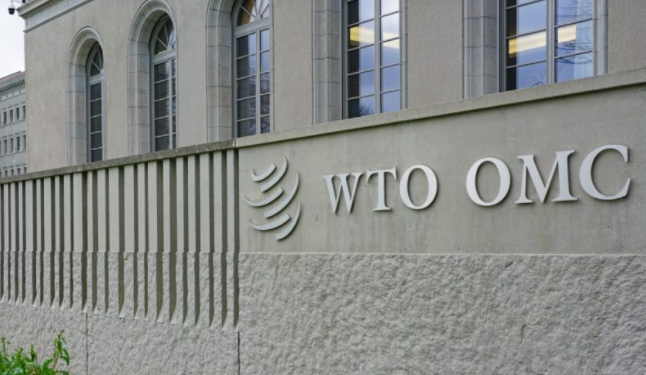 Diputados de Rusia presentan proyecto de ley para que su país abandone la OMC por sanciones económicas