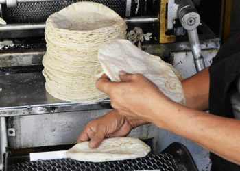 Profeco recomienda buscar comercios que vendan más económico la tortilla