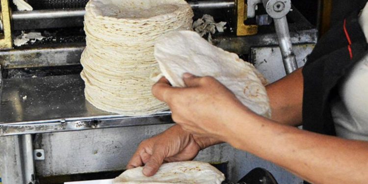 Profeco recomienda buscar comercios que vendan más económico la tortilla