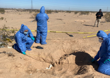 Encuentran restos de cuerpos en fosas clandestinas en el Estado de Sonora
