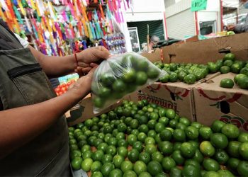 Profeco informa que el precio del limón y aguacate exceden hasta los 100 pesos