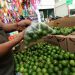 Profeco informa que el precio del limón y aguacate exceden hasta los 100 pesos