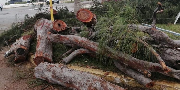 Semarnat no brindará permisos para obra de Boulevard Bahía
