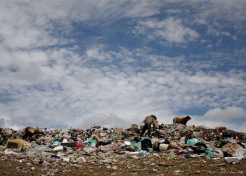 Cemda da a conocer aumento de 164% agresiones a defensores ambientales