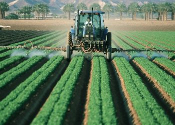 El sector agrícola es el que más agua ocupa en el país y el que más la desperdicia