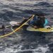 Rescatan cubano en el sur de Florida, viajaba en una tabla windsurf